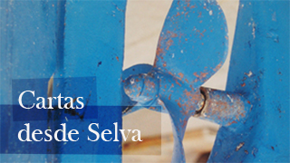 Verkami CARTAS DESDE SELVA conseguido