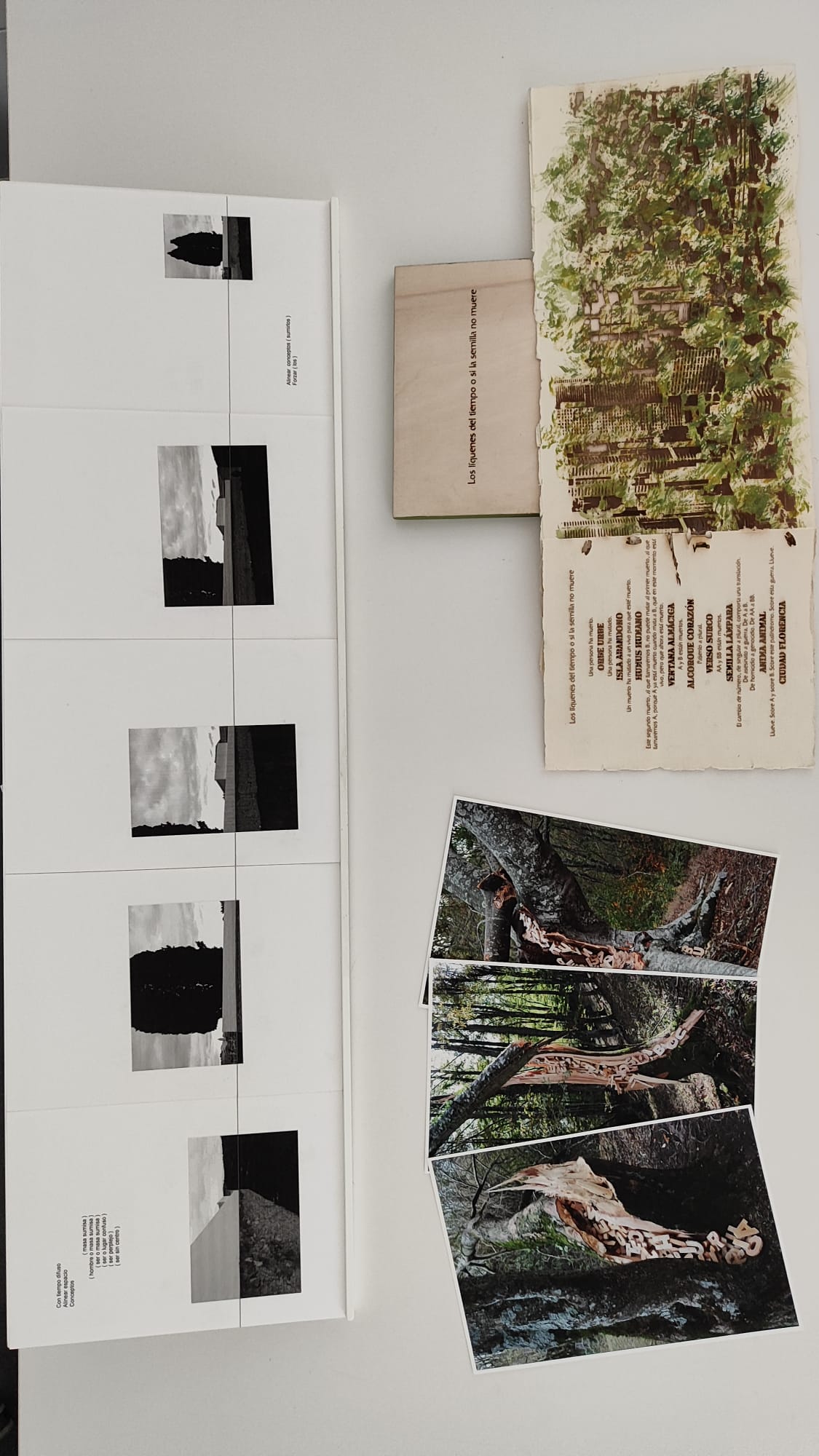 VII Premio Francisco Pino de Poesía Experimental