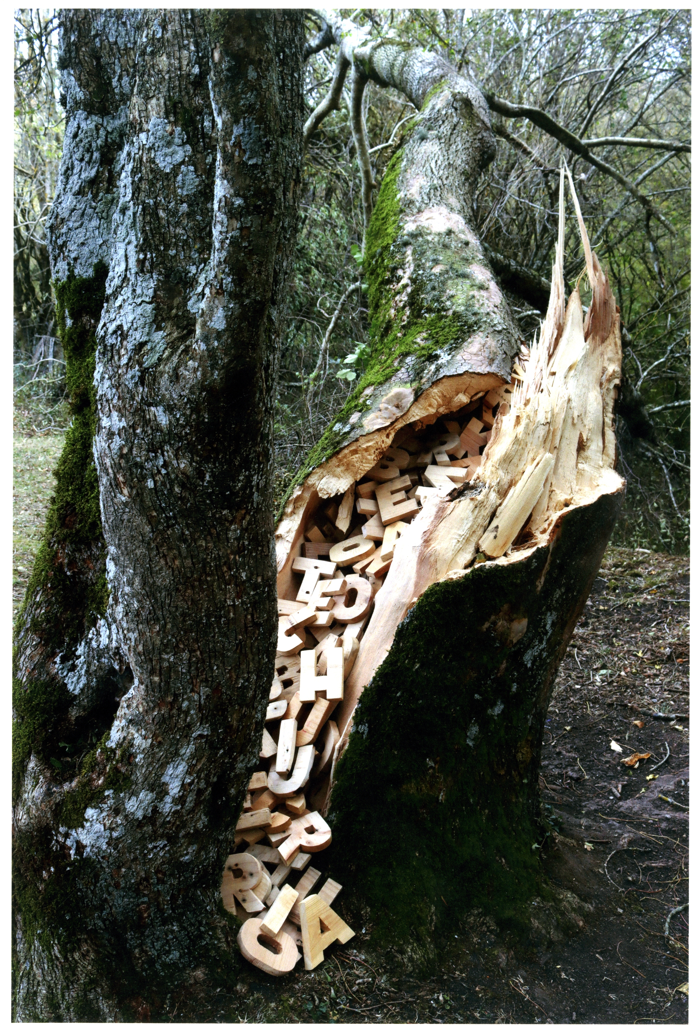 Accesit VII Premio Francisco Pino de Poesía Experimental