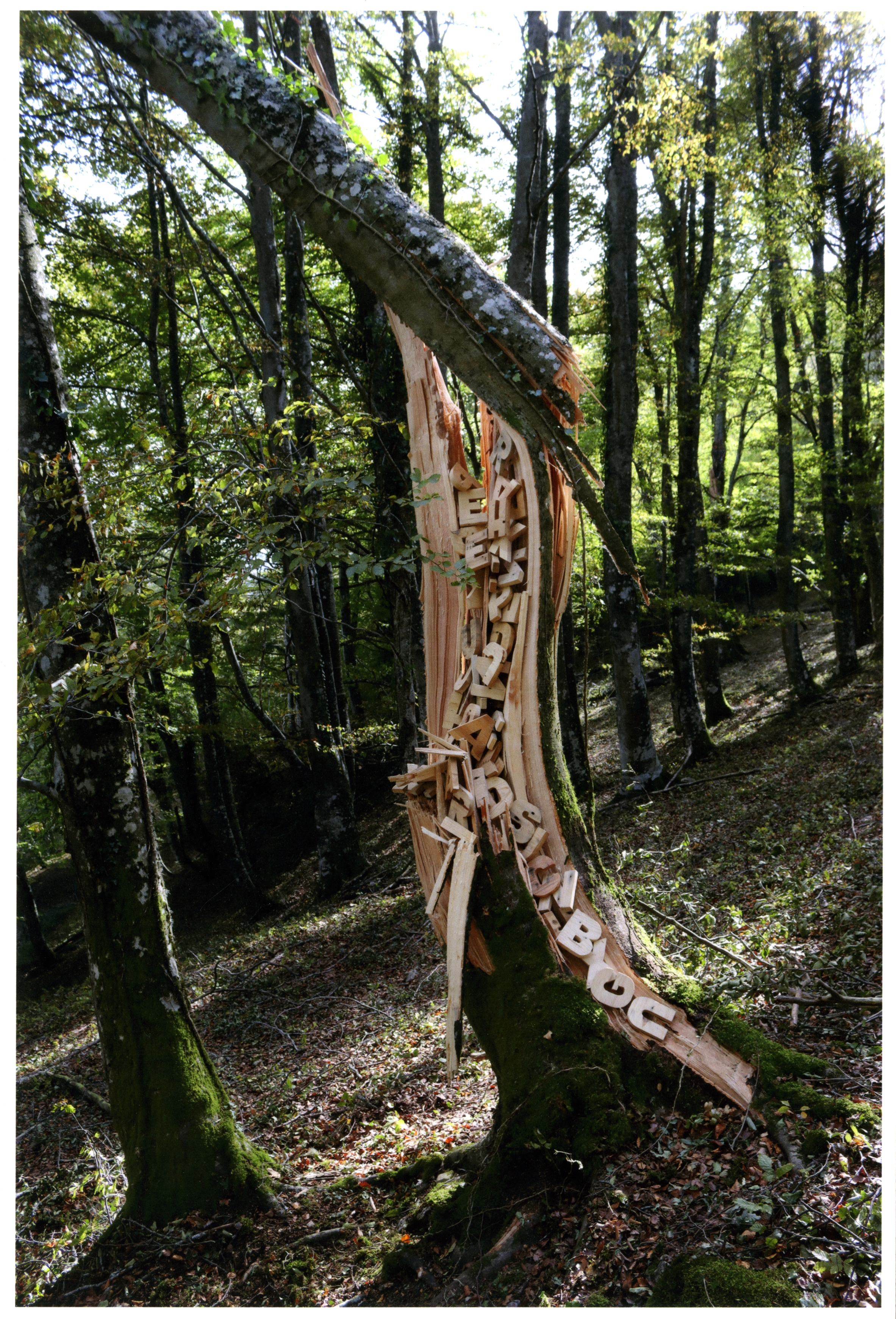 Accesit VII Premio Francisco Pino de Poesía Experimental